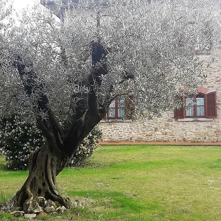 לינה וארוחת בוקר Borgo Del Contadino 3*